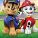 Bild 32