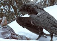 Ronja Räubertochter