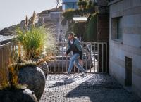 Harry Wild - Mörderjagd in Dublin