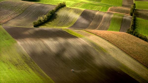 Bild 1 von 11: Weinviertel