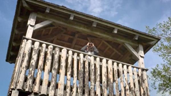 Bild 1 von 5: Im Bild: Vogelbeobachter.