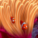 Findet Nemo