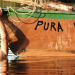 Pures Leben