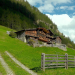 Tierwelt der Alpen - Herbst