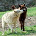 Bild 10