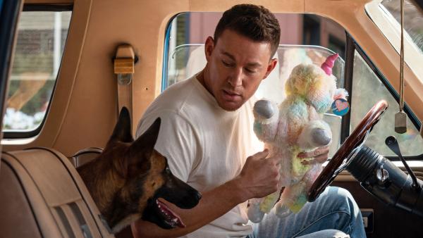 Bild 1 von 5: Ex-Army-Ranger (Jackson Biggs) und Malinois-Hündin Lulu machen einen Roadtripentlang der US-Pazifikküste .