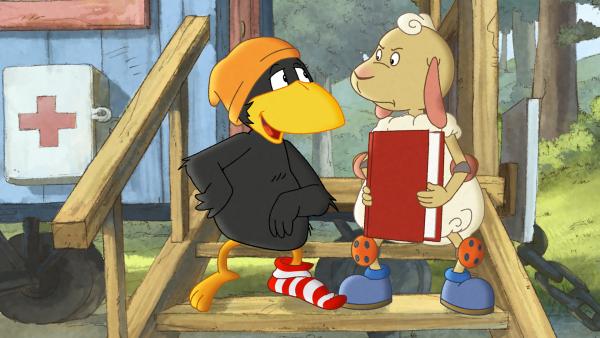 Bild 1 von 6: Socke braucht Wolle als Dedektiv Assistenten.