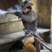 Die Musketiere (3)