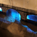 Abwasser - Von der Giftbrühe zur Goldgrube