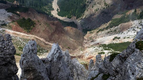 Bild 1 von 1: .