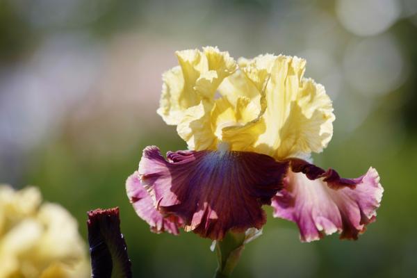 Bild 1 von 6: .