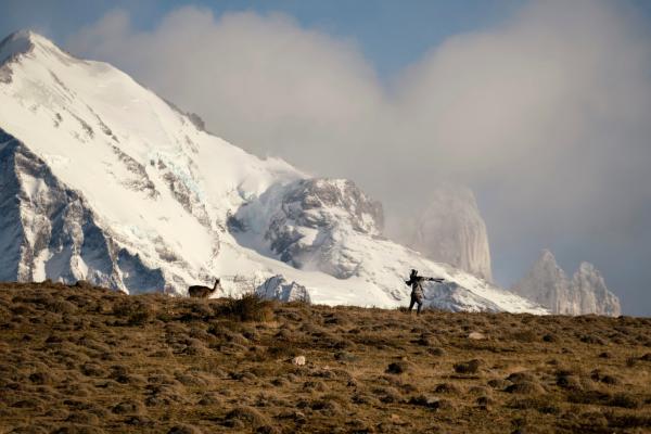 Bild 1 von 15: Kameramann und Guanako im Nationalpark Torres del Paine in Chile.