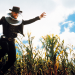 Wild Wild West