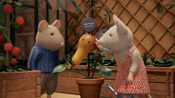 Bild 1 von 2: Sam (links) und Julia (rechts) finden den Kürbis im Garten so schön, dass sie ihm sogar einen Namen gegeben haben: Leon.