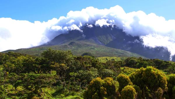 Bild 1 von 7: Der Gipfel des Vulkans Pico (2.351m) ist an vielen Tagen wolkenverhangen.