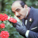 Agatha Christies Poirot