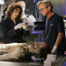 CSI: NY