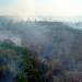 Brasilien - Der brennende Regenwald
