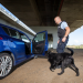 Hunde im Einsatz