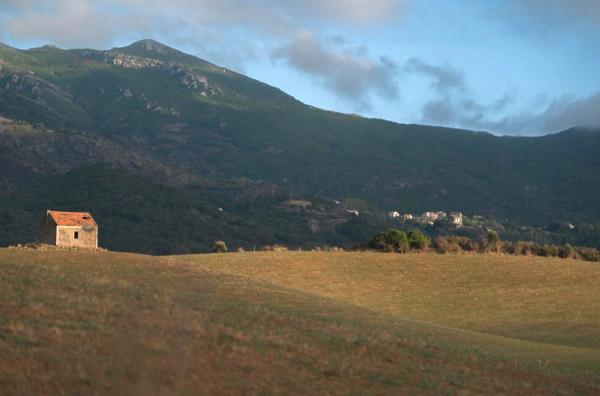 Bild 1 von 3: Mitte des 19. Jahrhunderts war Korsika die wichtigste Region für die Produktion von Seidenraupen - bis der Wirtschaftszweig nach dem Ersten Weltkrieg an Bedeutung verlor.