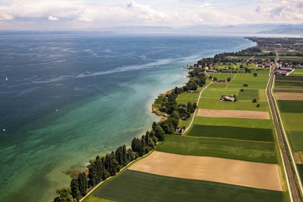 Naturparadiese mit Zukunft - Bodensee, Rettung für die Vogelwelt