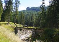 Steffinger: Südtiroltour 2023