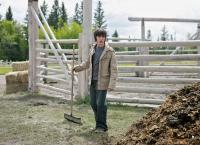 Heartland - Paradies für Pferde