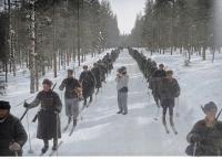 Der Zweite Weltkrieg in der Arktis