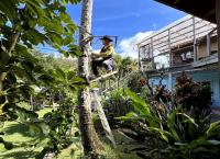 Willkommen bei den Reimanns