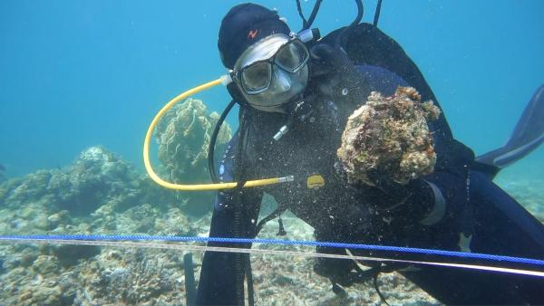 Bild 1 von 10: Mehr als 360 Jahre galten die fünf Schiffe der Ternate-Flotte als verschollen. Vor einigen Jahren konnten ihre Überreste nach langjähriger akribischer Archivrecherche innerhalb kürzester Zeit auf dem Meeresgrund lokalisiert werden.