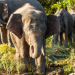 Big Five Asien