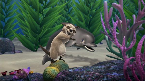 Bild 1 von 3: Otter Bobsie ist froh, dass es seinem neuen besten Freund, einem lustigen Delfin, wieder gut geht.