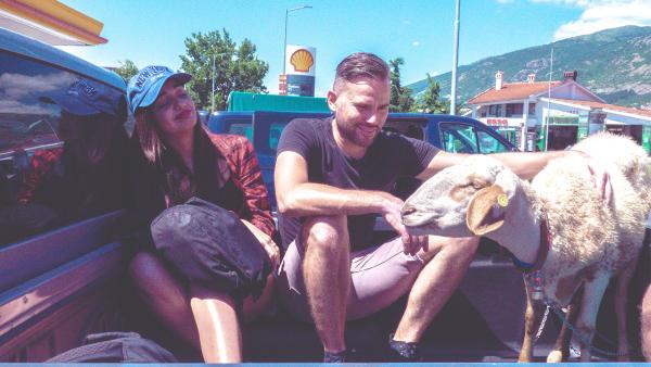 Bild 1 von 1: .