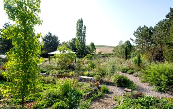 Bild 1 von 3: Rheinhessen: der große naturnahe Staudengarten von Gastgeber Markus Gaißl.