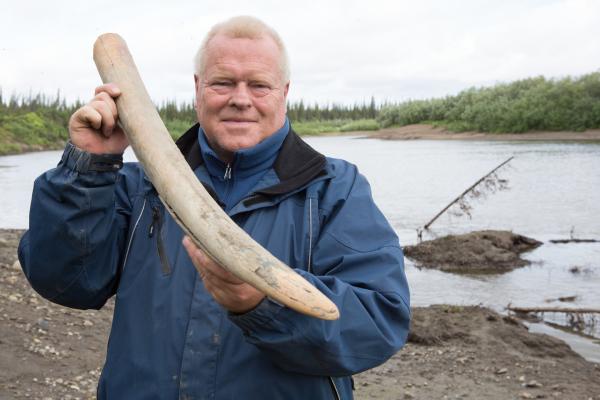 Bild 1 von 1: Mammut-Experte Dick Mol hat im Yukon Territory in Kanada einen Mammutstoßzahn gefunden.