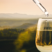 Der große Weinskandal - Panscher und Profit