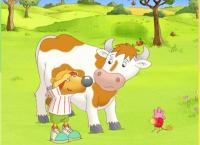 Die Sendung mit dem Elefanten