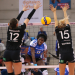 Volleyball Live - Bundesliga