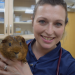 Pets & Docs - Ein Team für Tiere