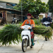 Entlang der Happiness Road - In den Bergen Vietnams