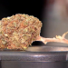 Das Geschäft mit Cannabis