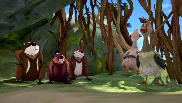 Bild 1 von 6: Am nächsten Morgen tauchen die Bewohner der Hütte auf. Es sind Biber und die sind gar nicht erfreut über ihre Gäste.