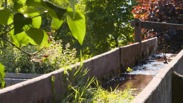 Bild 1 von 12: Im Bild: Mühle auf der Koralm.