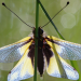 Abenteuer Wildnis