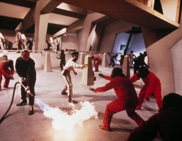 Bild 1 von 7: Mit grausamen Methoden werden die Affen in \