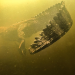 Giganten unter Wasser - Riesenfischen auf der Spur