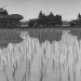 Der Vietnamkrieg
