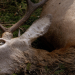 natur exclusiv