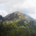 Wilde Schweiz