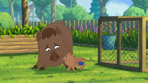 Bild 1 von 3: Das kleine Wildschwein ist endlich wieder mit seiner Mutter vereint.